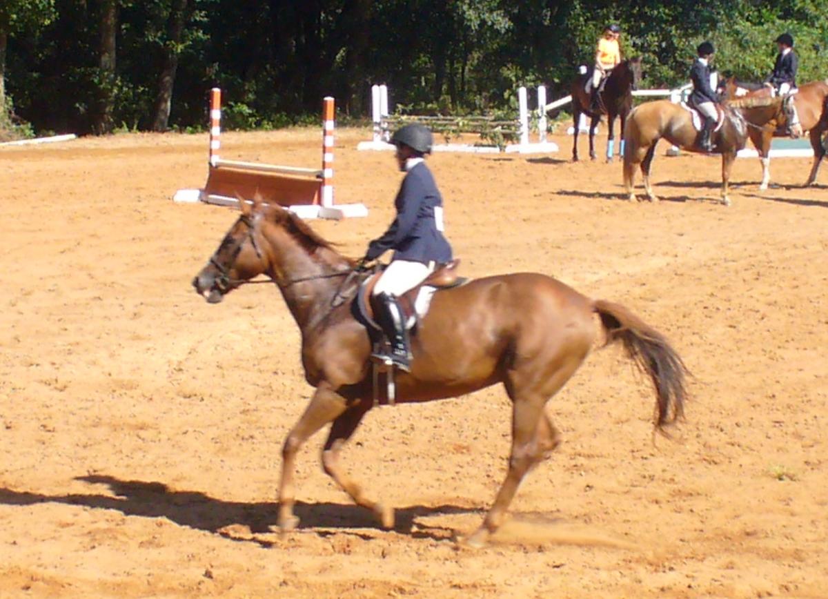 CSEC Mock Horse Show 2013