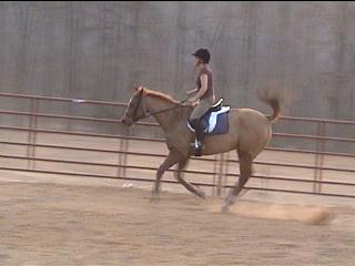 Cathy cantering Mattie