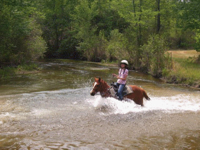 Swimming hole