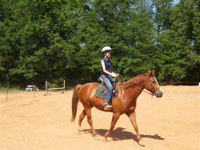 English Equitation