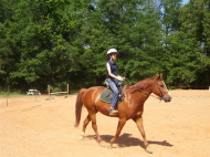 English Equitation