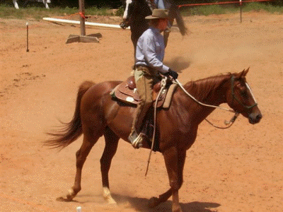 Our Real Cowgirl