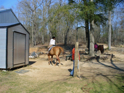 The Tack Shed