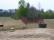 The Feeding Stalls