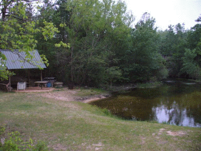 The Picnic Area