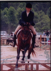 Horse Show photo 1