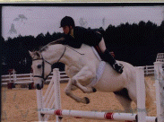 Horse Show photo 2