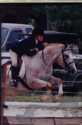 Horse Show photo 3