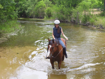 Tank taking a dip in the cool creek