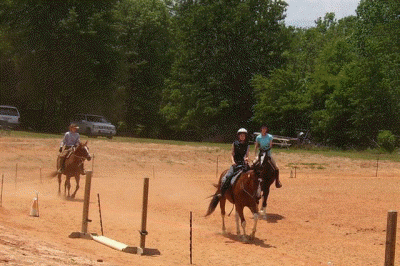 Western Equitation