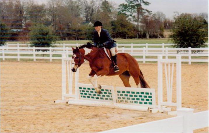 horseshow_photo_1