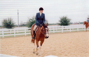 horseshow_photo_2