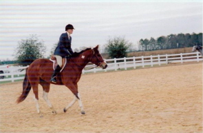 horseshow_photo_4