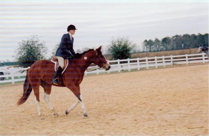 horseshow_photo_4