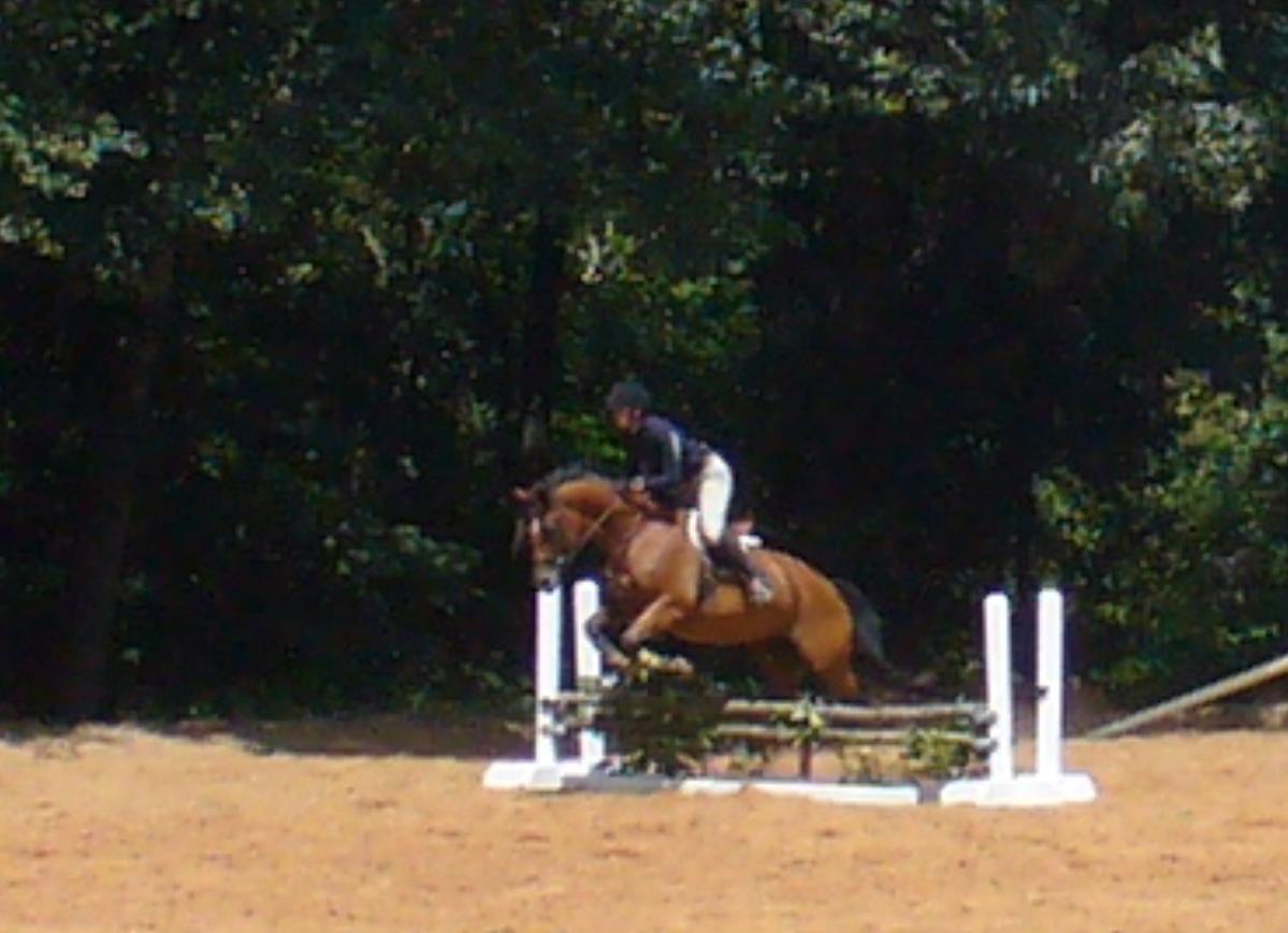 CSEC Mock Horse Show 2013