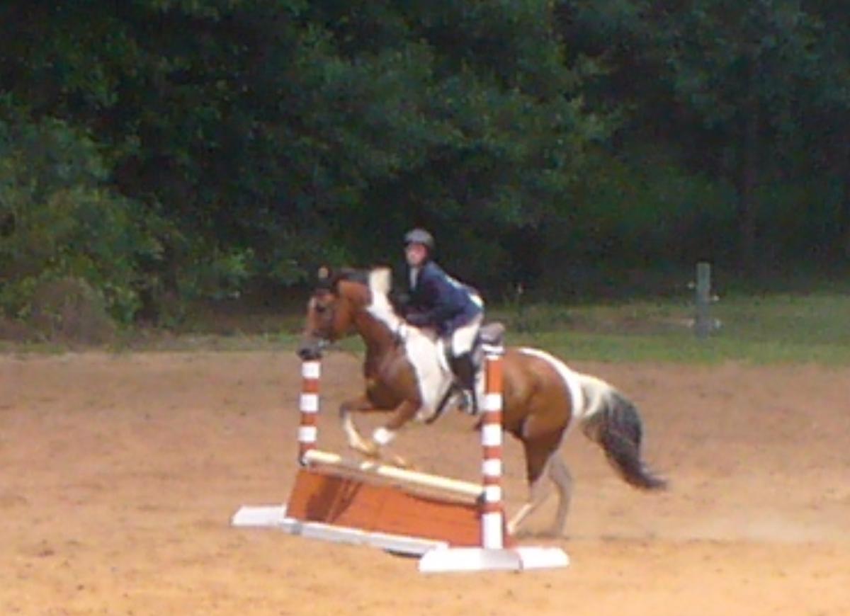 CSEC Mock Horse Show 2013