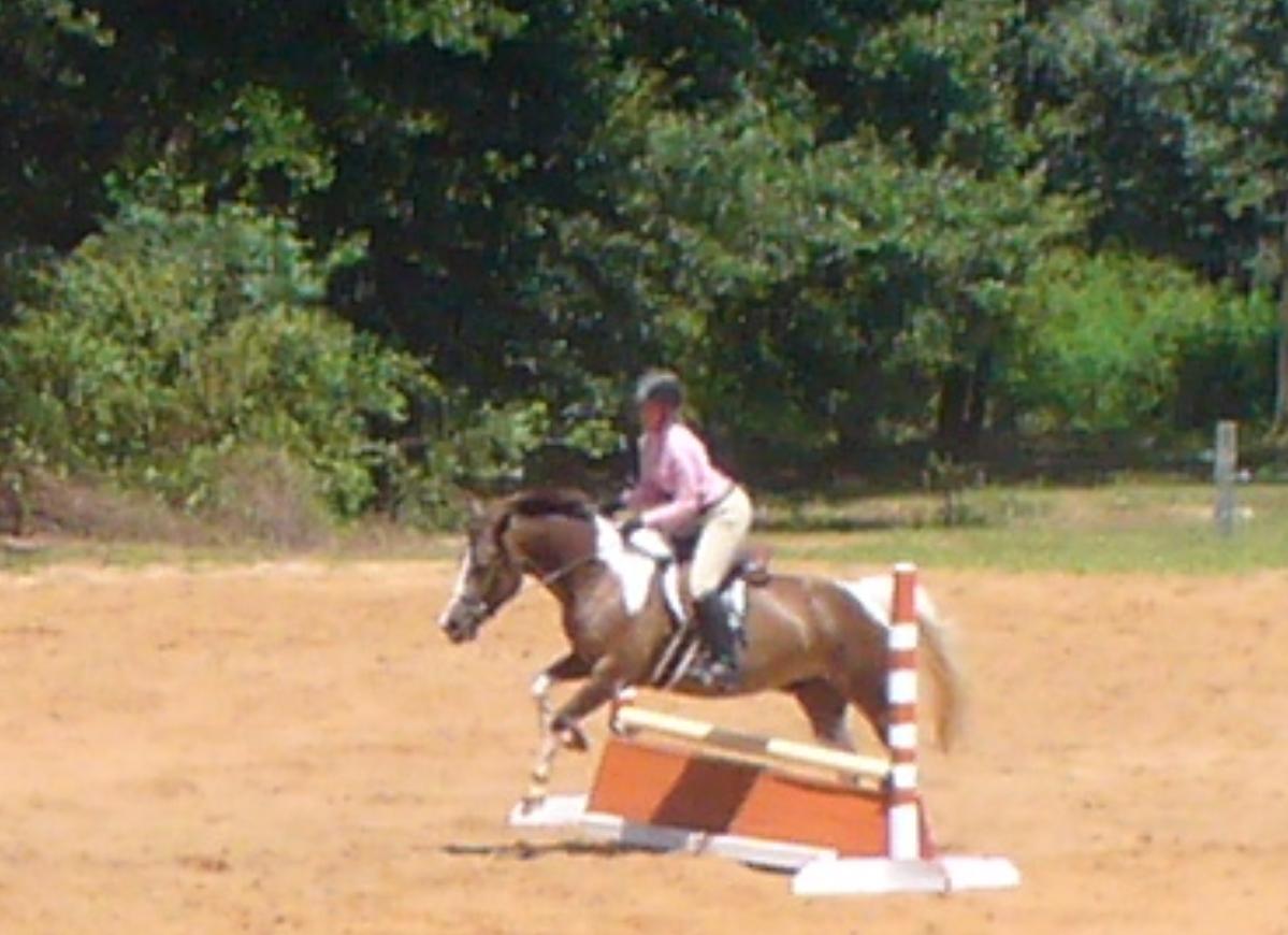 CSEC Mock Horse Show 2013