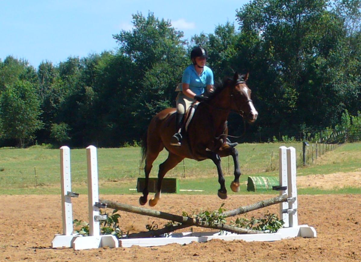 CSEC Mock Horse Show 2013