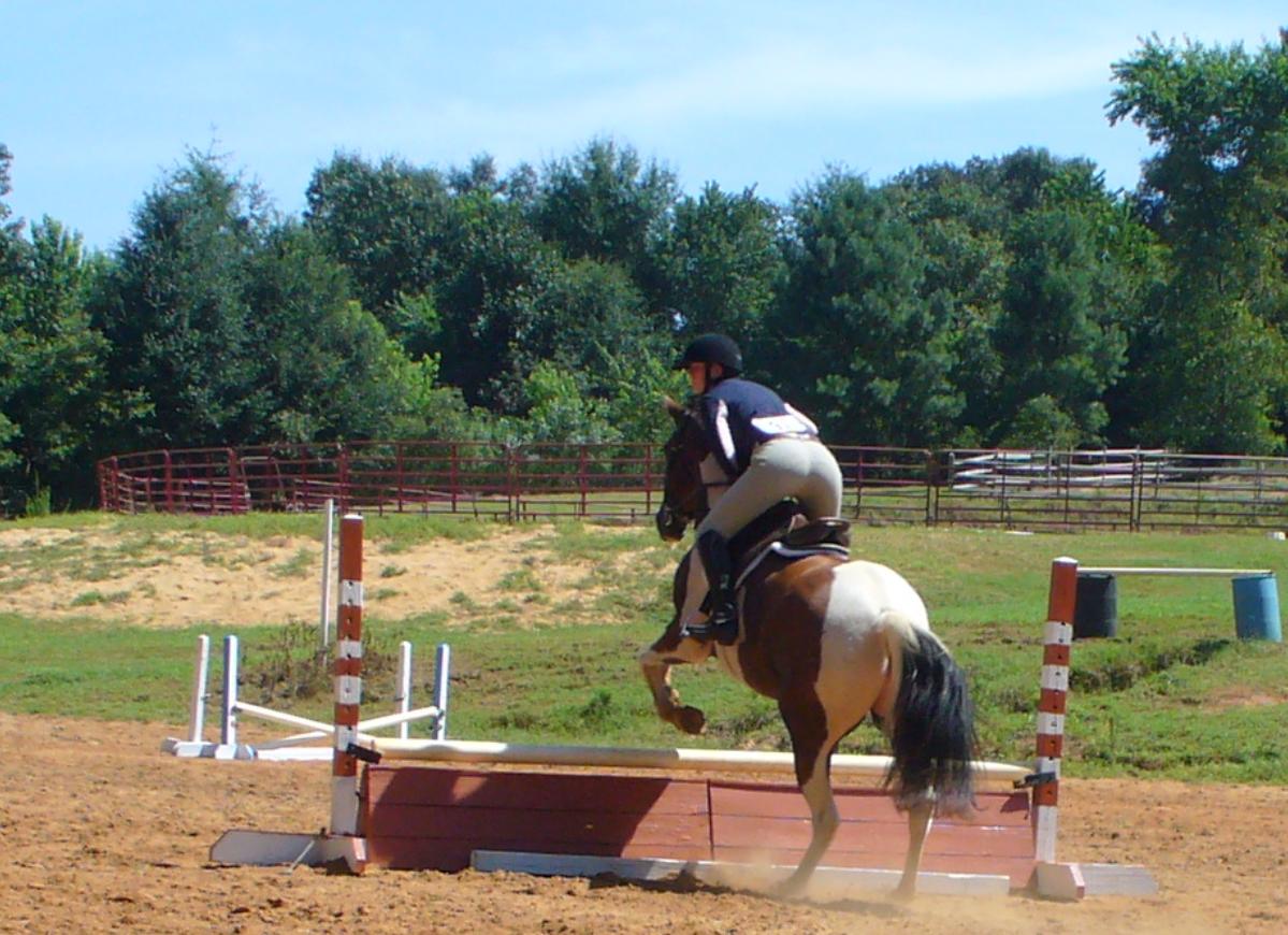 CSEC Mock Horse Show 2013